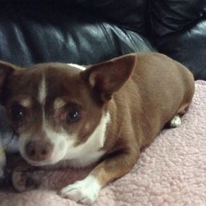 Meet your Posher, Kiersea's